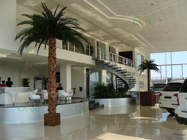 Palmiye, Palmiye Ağacı, Yapay Palmiye, Şoklanmış Palmiye, Yapay Palmiye Ağacı, Şoklanmış Palmiye Ağacı