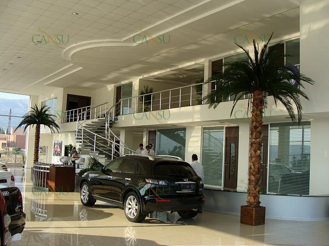 Palmiye, Palmiye Ağacı, Yapay Palmiye, Şoklanmış Palmiye, Yapay Palmiye Ağacı, Şoklanmış Palmiye Ağacı