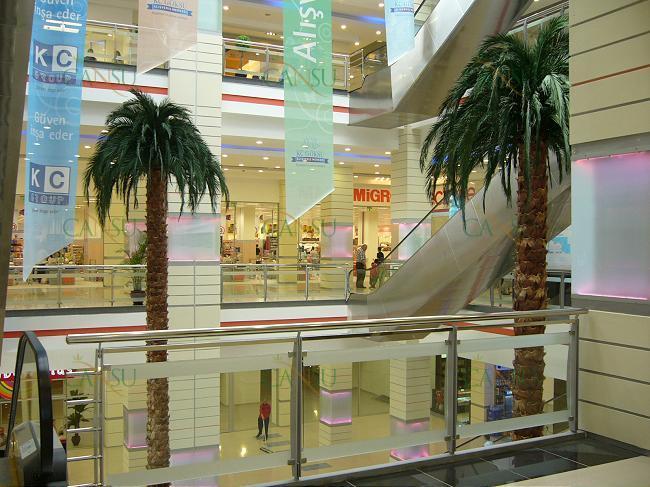 Palmiye, Palmiye Ağacı, Yapay Palmiye, Şoklanmış Palmiye, Yapay Palmiye Ağacı, Şoklanmış Palmiye Ağacı