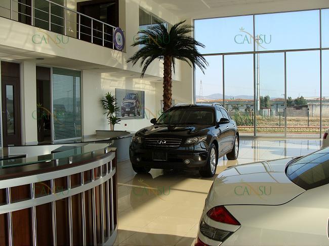 Palmiye, Palmiye Ağacı, Yapay Palmiye, Şoklanmış Palmiye, Yapay Palmiye Ağacı, Şoklanmış Palmiye Ağacı