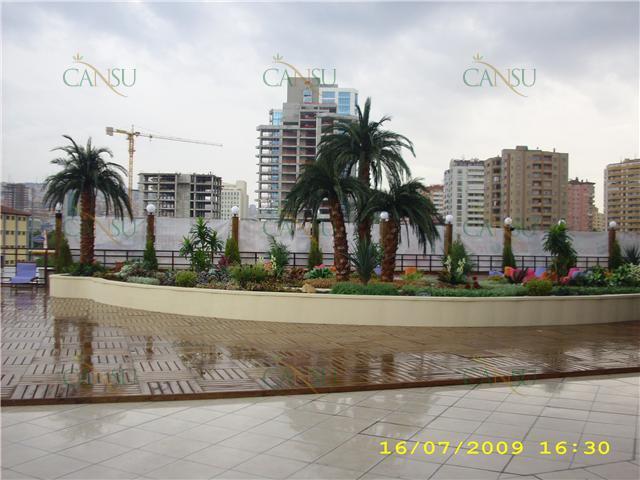 Palmiye, Palmiye Ağacı, Yapay Palmiye, Şoklanmış Palmiye, Yapay Palmiye Ağacı, Şoklanmış Palmiye Ağacı