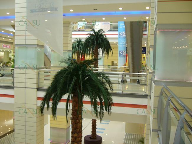 Palmiye, Palmiye Ağacı, Yapay Palmiye, Şoklanmış Palmiye, Yapay Palmiye Ağacı, Şoklanmış Palmiye Ağacı