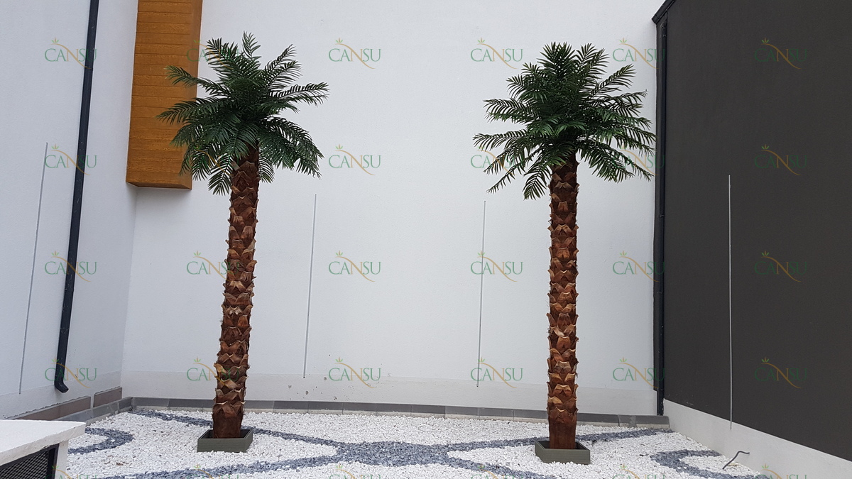 Palmiye, Palmiye Ağacı, Yapay Palmiye, Şoklanmış Palmiye, Yapay Palmiye Ağacı, Şoklanmış Palmiye Ağacı