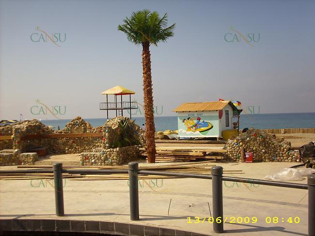 Palmiye, Palmiye Ağacı, Yapay Palmiye, Şoklanmış Palmiye, Yapay Palmiye Ağacı, Şoklanmış Palmiye Ağacı
