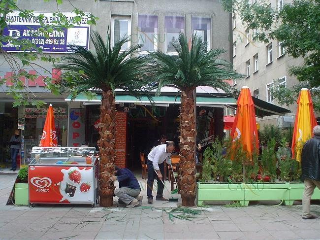 Palmiye, Palmiye Ağacı, Yapay Palmiye, Şoklanmış Palmiye, Yapay Palmiye Ağacı, Şoklanmış Palmiye Ağacı