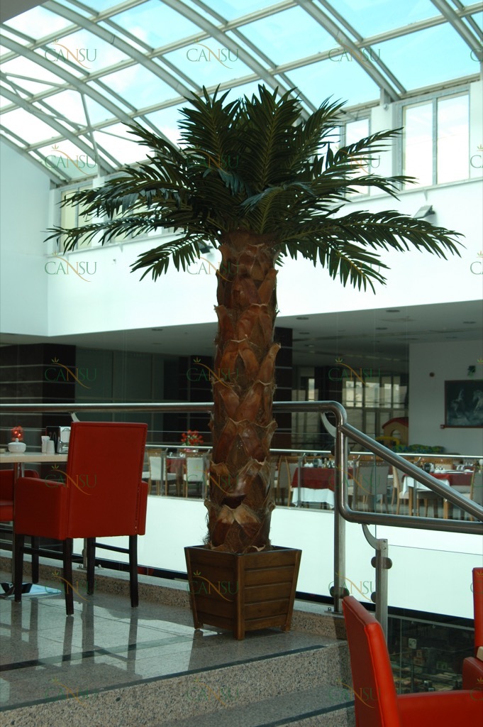 Palmiye, Palmiye Ağacı, Yapay Palmiye, Şoklanmış Palmiye, Yapay Palmiye Ağacı, Şoklanmış Palmiye Ağacı